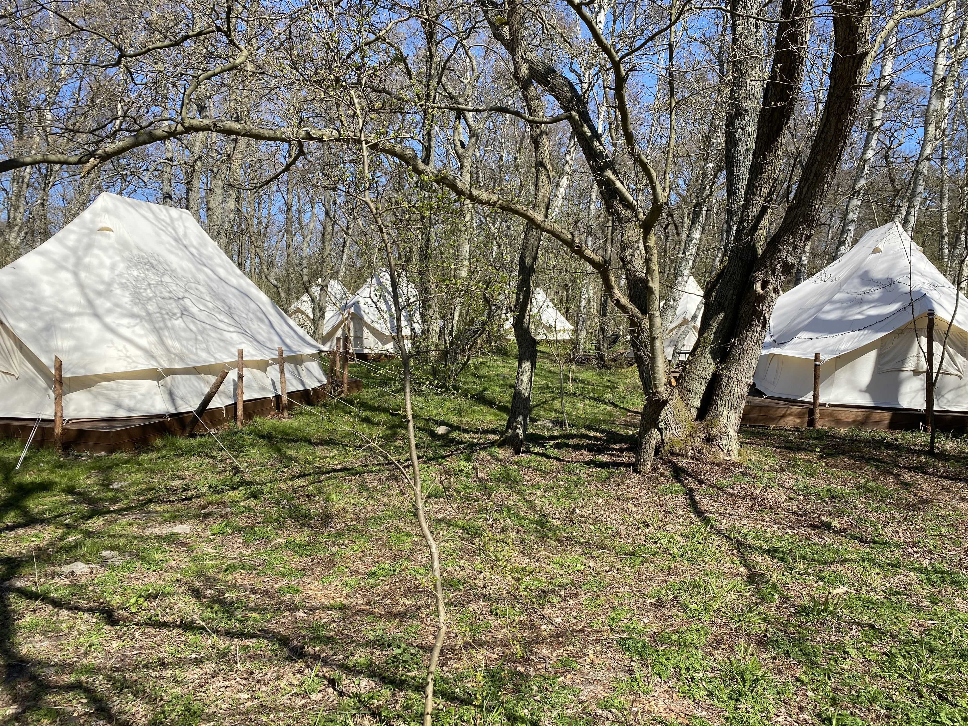 гостиница Polyana Glamping фото 1