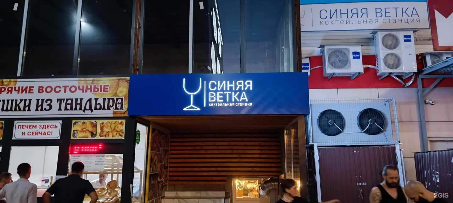 бар Синяя ветка фото 1